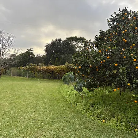 Alma Calorosa Garden *