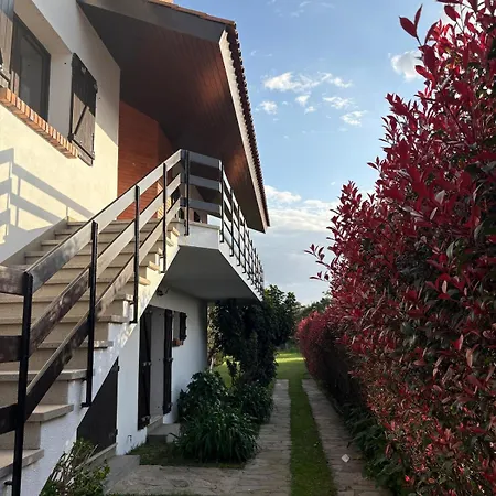 Alma Calorosa Garden Daire Bicas