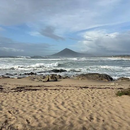 Alma Calorosa Garden Daire *