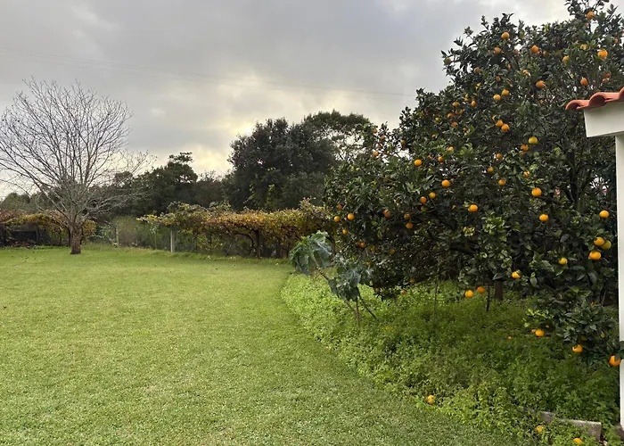 Alma Calorosa Garden *